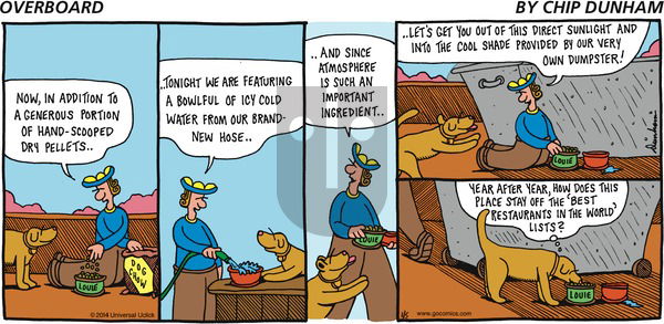 Overboard on Sunday January 5, 2014 Comic Strip