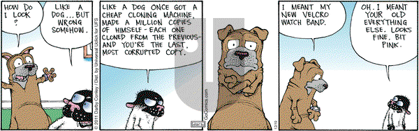 Get Fuzzy on Monday December 19, 2011 Comic Strip