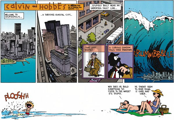 Calvin and Hobbes on Sunday July 2, 1995 Comic Strip