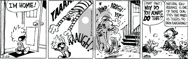 Calvin and Hobbes - Tuesday May 26, 1987 Comic Strip