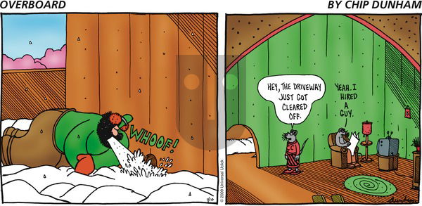 Overboard on Sunday January 10, 2010 Comic Strip