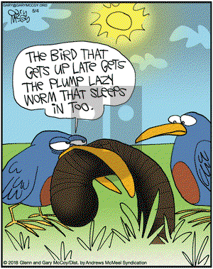 The Flying McCoys on Friday May 4, 2018 Comic Strip