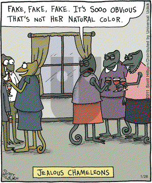 The Argyle Sweater on Friday January 28, 2011 Comic Strip