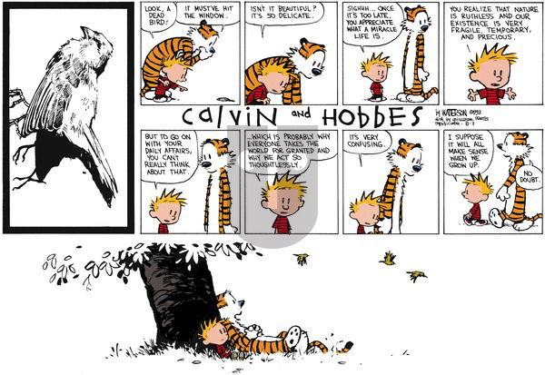 Calvin and Hobbes on Sunday September 19, 1993 Comic Strip