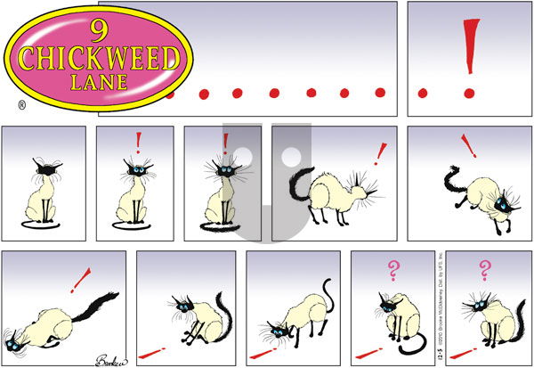 9 Chickweed Lane on Sunday December 5, 2010 Comic Strip