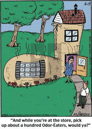 Close to Home on Friday June 13, 2025 Comic Strip