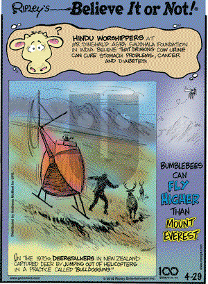 Ripley's Believe It or Not on Monday April 29, 2019 Comic Strip