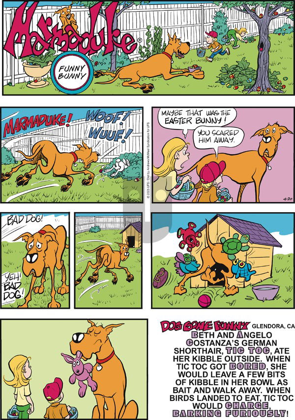 Marmaduke on Sunday April 20, 2025 Comic Strip