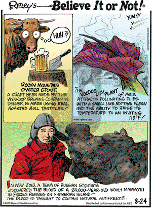 Ripley's Believe It or Not on Saturday August 24, 2013 Comic Strip