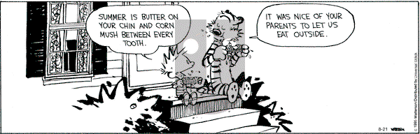 Calvin and Hobbes on Friday August 21, 2015 Comic Strip