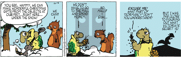 Over the Hedge on Tuesday December 9, 2008 Comic Strip