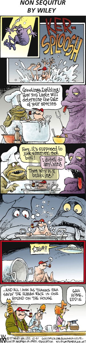 Non Sequitur on Sunday December 31, 2017 Comic Strip