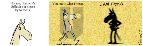 Dark Side of the Horse on Monday October 31, 2016 Comic Strip