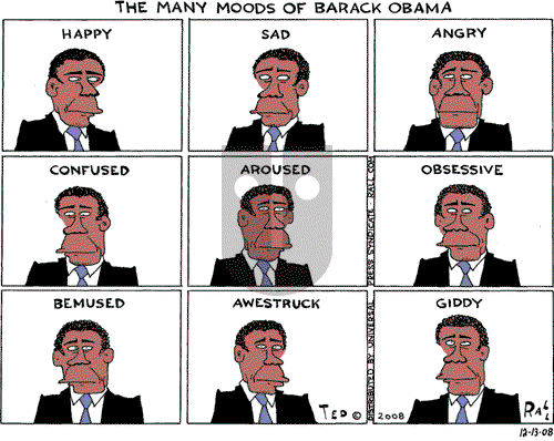 Ted Rall on Saturday December 13, 2008 Comic Strip
