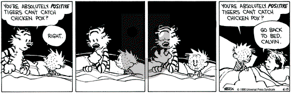 Calvin and Hobbes on Friday June 15, 1990 Comic Strip