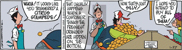 Rose is Rose on Tuesday January 27, 2015 Comic Strip