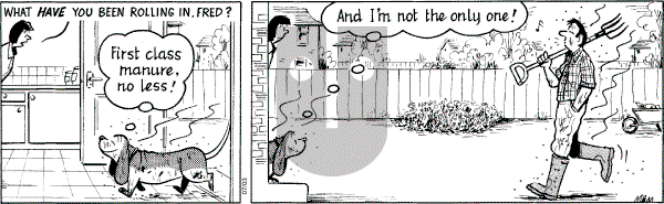 Fred Basset on Thursday July 3, 2003 Comic Strip
