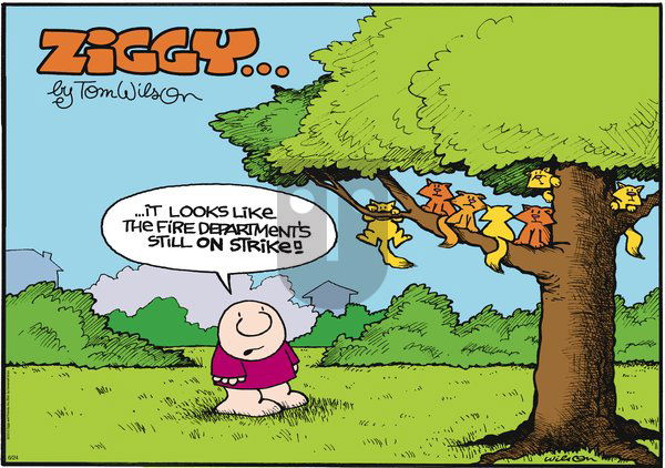 Ziggy on Sunday June 24, 2012 Comic Strip