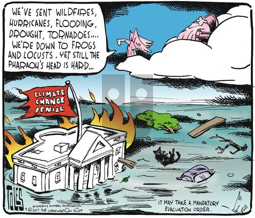 Tom Toles on Sunday September 10, 2017 Comic Strip