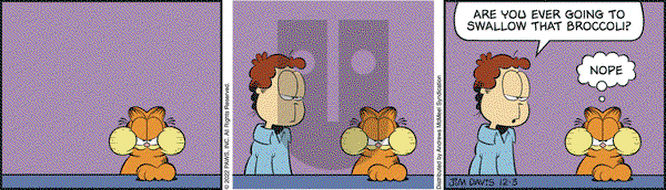 Garfield - Saturday December 3, 2022 Comic Strip