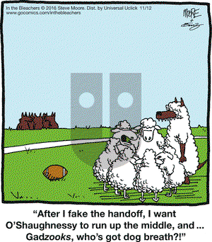 In the Bleachers on Saturday November 12, 2016 Comic Strip