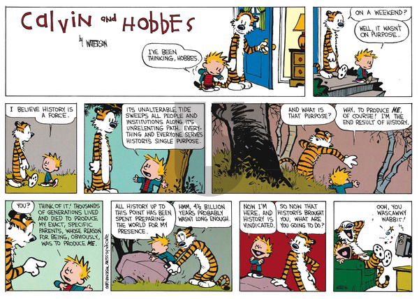 Calvin and Hobbes on Sunday November 16, 2014 Comic Strip