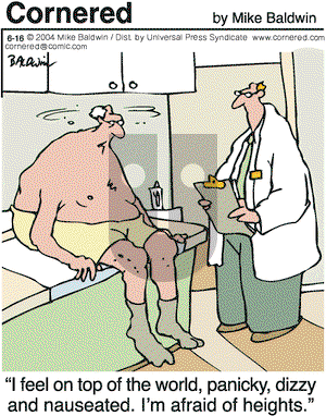 Cornered on Wednesday June 16, 2004 Comic Strip