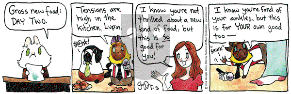 Breaking Cat News - Monday January 3, 2022 Comic Strip