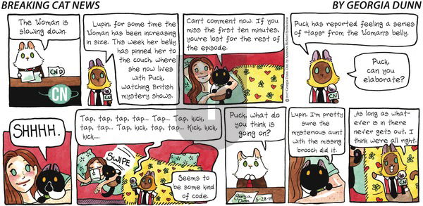 Breaking Cat News on Sunday May 28, 2017 Comic Strip