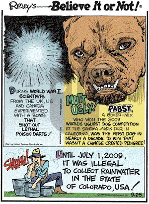 Ripley's Believe It or Not on Friday September 25, 2009 Comic Strip