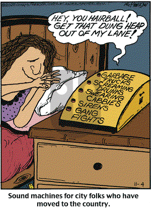 Close to Home on Tuesday November 4, 2025 Comic Strip