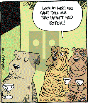 Reality Check on Monday July 20, 2009 Comic Strip