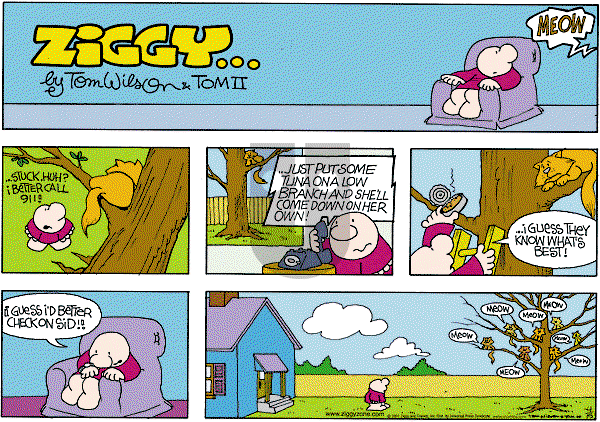 Ziggy - Sunday April 15, 2001 Comic Strip