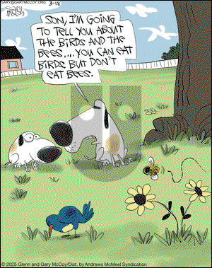 The Flying McCoys on Tuesday March 18, 2025 Comic Strip