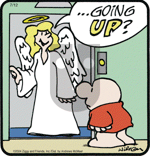 Ziggy - Friday July 12, 2024 Comic Strip
