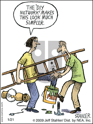 Moderately Confused on Sunday January 25, 2009 Comic Strip