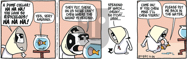 Pooch Cafe on Monday May 26, 2014 Comic Strip