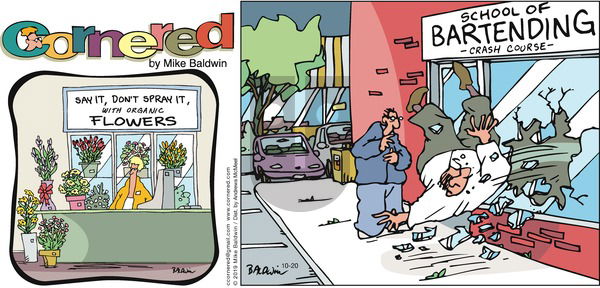 Cornered on Sunday October 20, 2019 Comic Strip