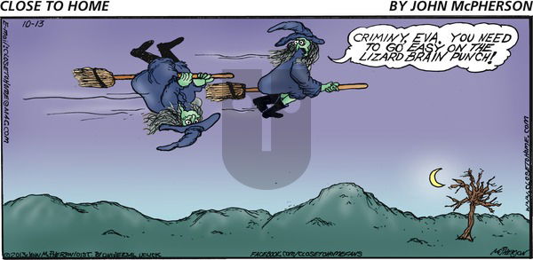 Close to Home on Sunday October 13, 2013 Comic Strip