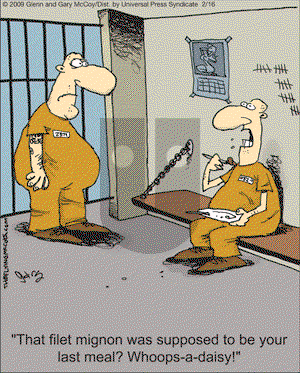 The Flying McCoys on Monday February 16, 2009 Comic Strip
