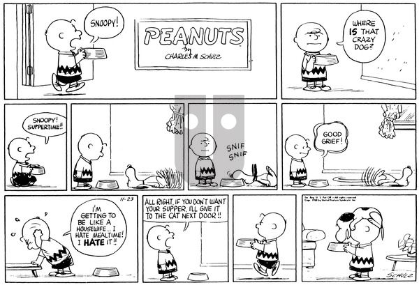 Peanuts on Sunday November 23, 1958 Comic Strip