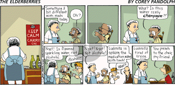 The Elderberries on Sunday July 27, 2025 Comic Strip