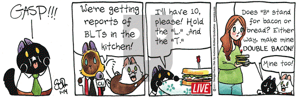 Breaking Cat News on Thursday January 14, 2021 Comic Strip