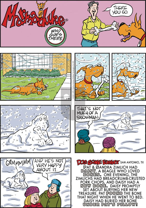 Marmaduke on Sunday January 31, 2021 Comic Strip