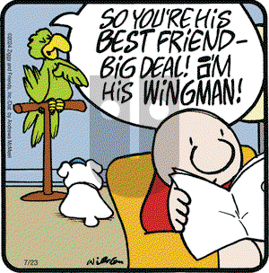 Ziggy - Tuesday July 23, 2024 Comic Strip