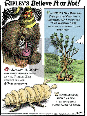 Ripley's Believe It or Not - Monday September 23, 2024 Comic Strip
