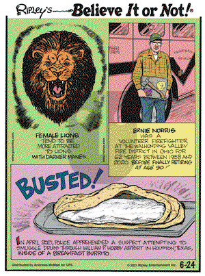Ripley's Believe It or Not on Thursday June 24, 2021 Comic Strip
