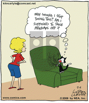 Kit 'N' Carlyle on Monday September 8, 2008 Comic Strip