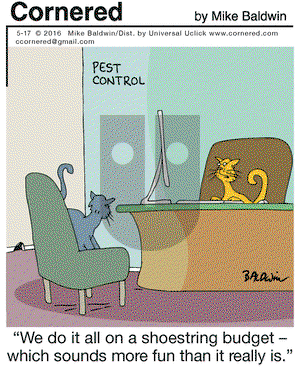 Cornered on Tuesday May 17, 2016 Comic Strip