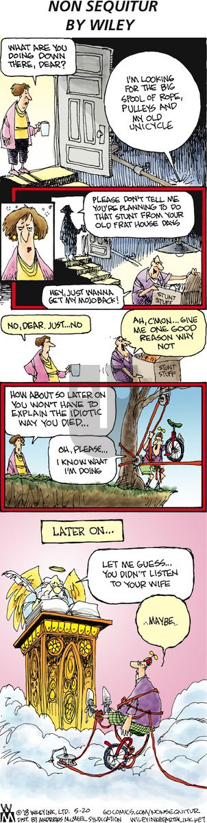 Non Sequitur on Sunday May 20, 2018 Comic Strip